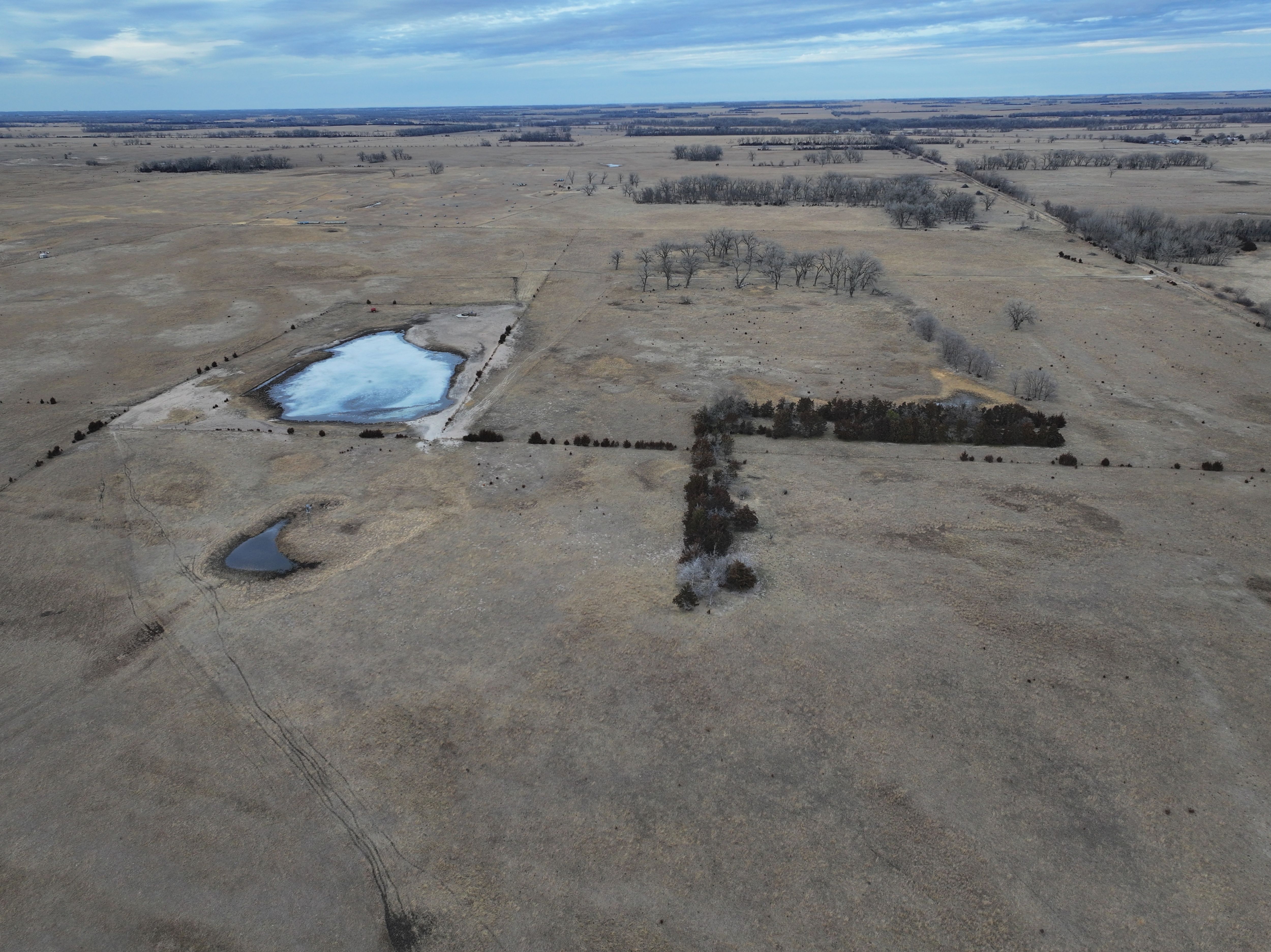 Listing Photo: holt-county-ne-400-acres-pasture